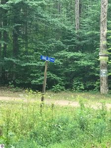 Vacant Land Trail Ln #33, Mancelona, MI, 49659