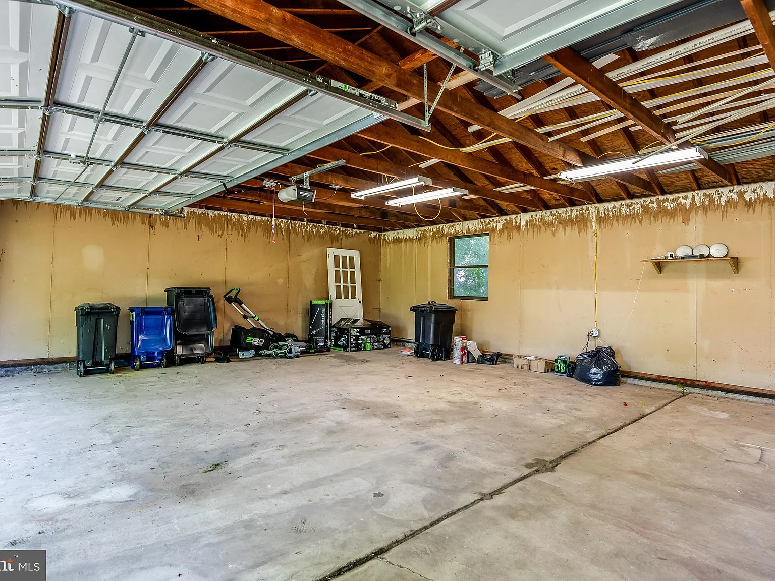 Studio, $950 — Photo 4