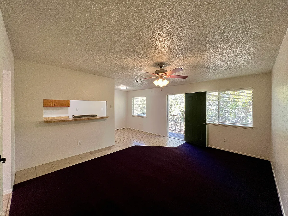 Building Photo - 114 Lady Bird Ln #2