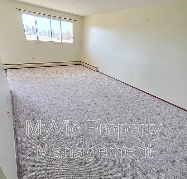 4804 46th Ave — Photo 5