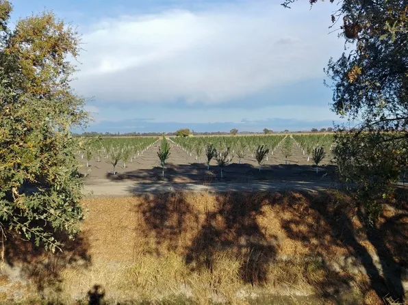 Paseo Rd, Live Oak, CA 95953
