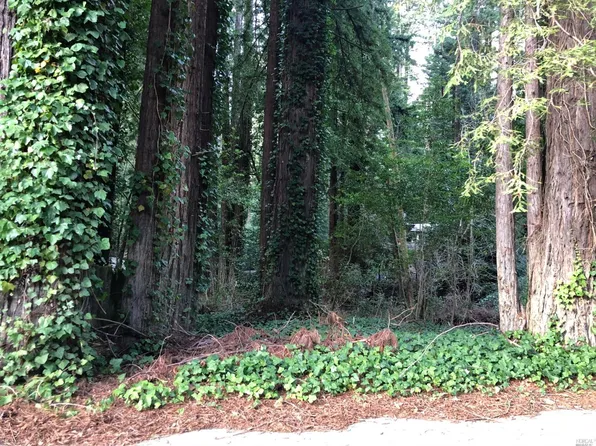 19620 Redwood Dr, Monte Rio, CA 95462