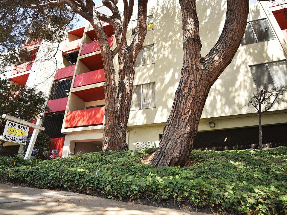 1st image of 389 Vernon St APT 207