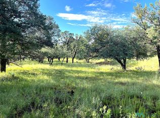 Xx Sanctuary Rd, Silver City, NM 88061
