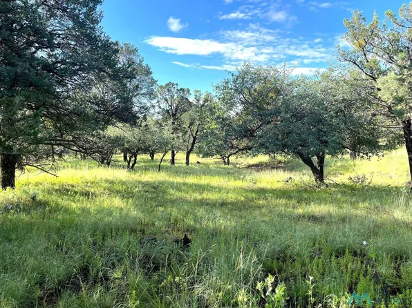 Xx Sanctuary Rd, Silver City, NM 88061