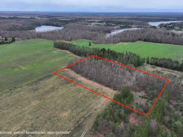 Pd 463a Kassuba Rd, Gaylord, MI 49735
