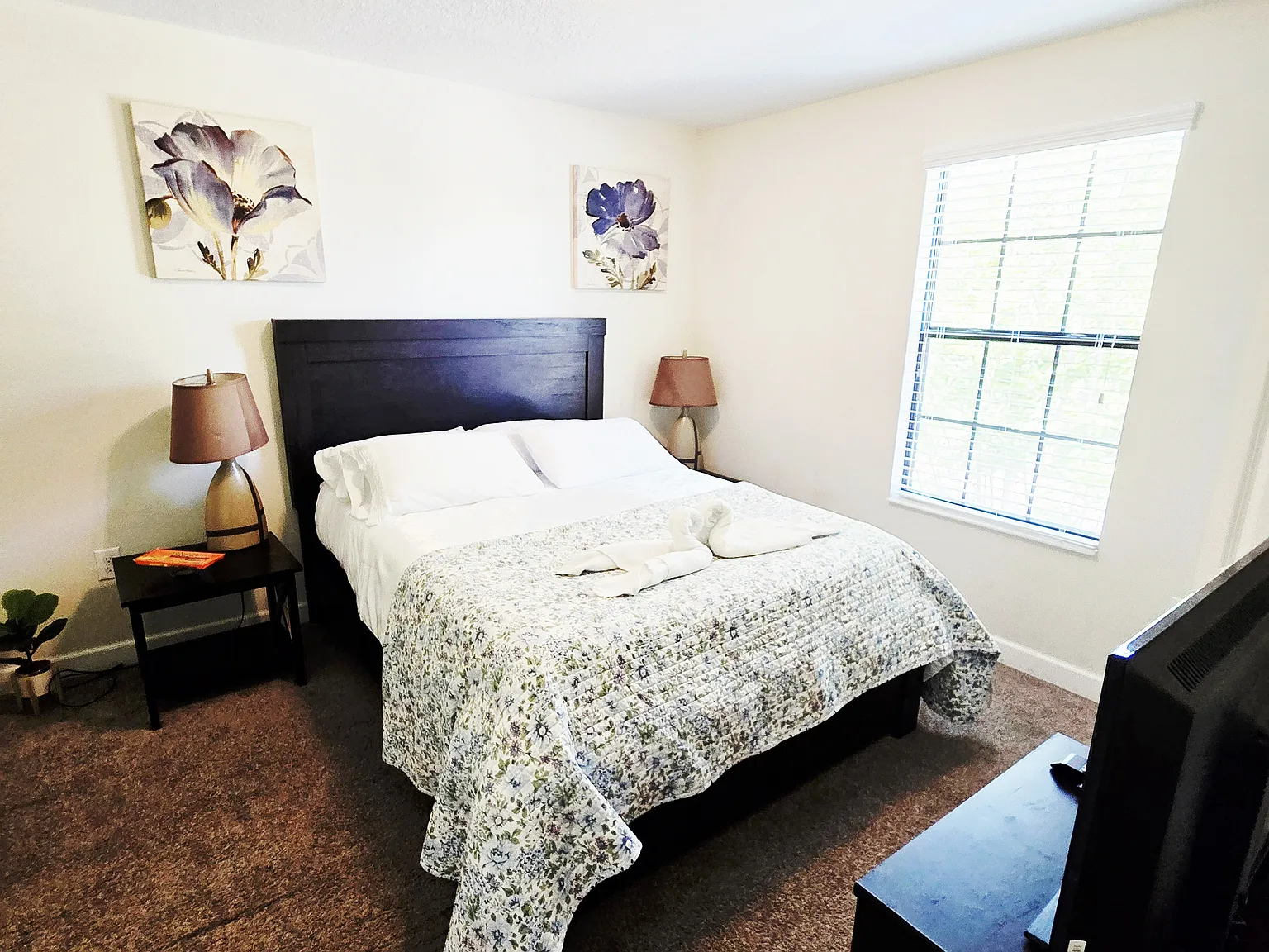 9154 Scramble Dr — Photo 2