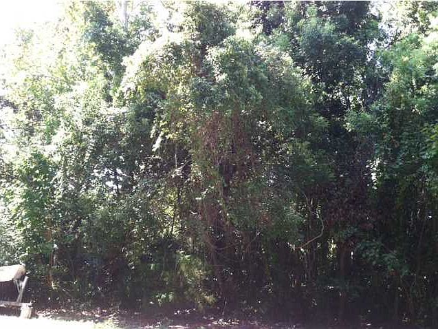 2nd image of 192 10th St