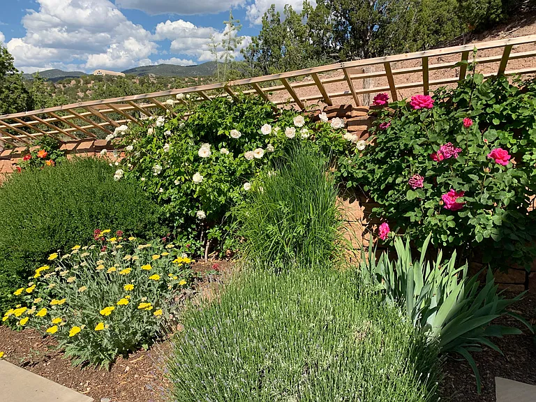 Beautiful gardens