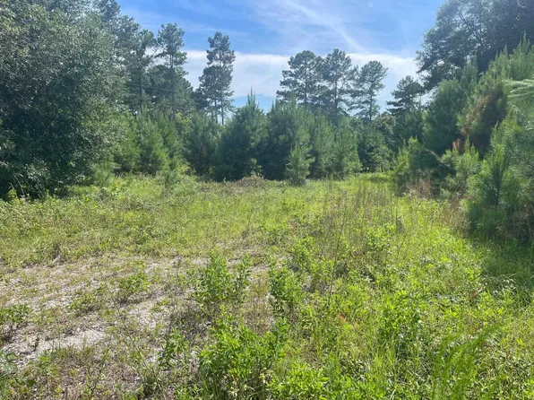 0 Point A Isle Rd, Andalusia, AL 36421