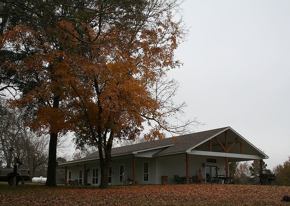 Maple tree in the fall