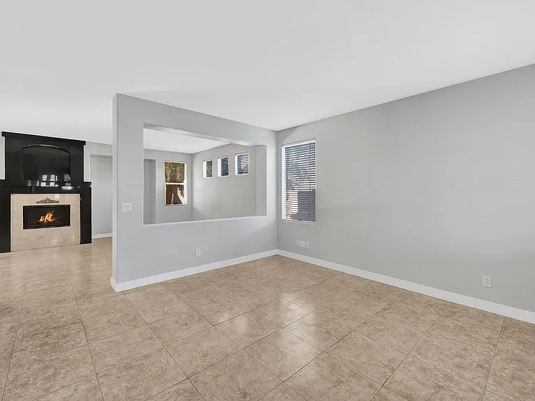 1009 Black Olive St — Photo 2
