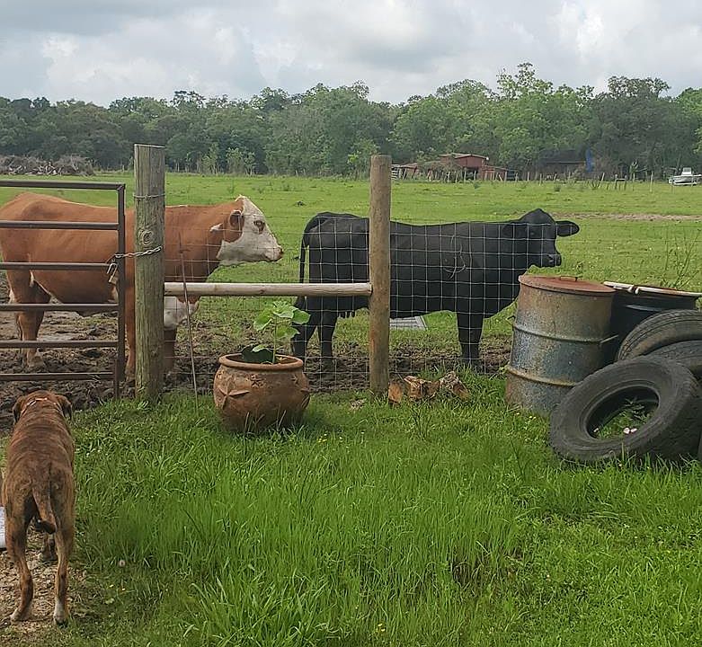 1st image of 3383 County Road 373