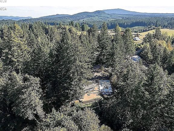 3rd image of 42912 E Larch Mountain Rd