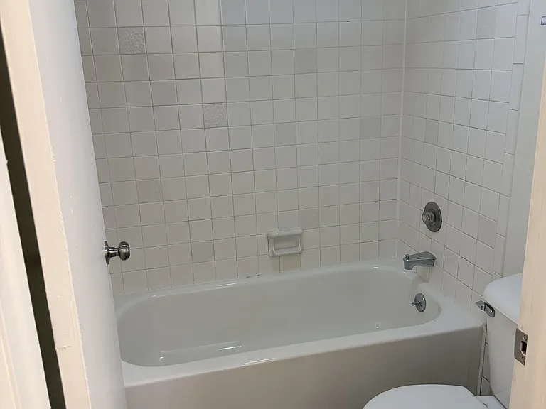 Toilet and shower area