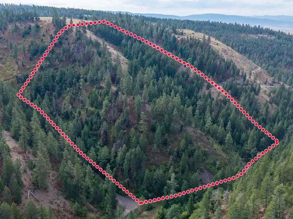 Nhn Copper Ridge Trl, Florence, MT 59833