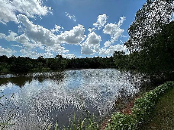 1.5 ac pond bass/crappie