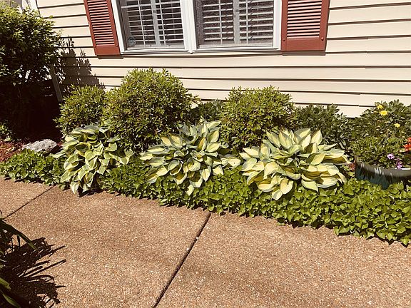 5th image of 2873 Sutherland Dr