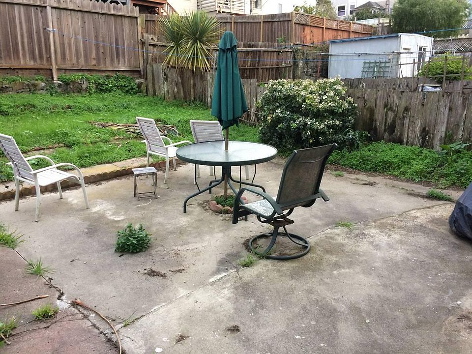 back yard