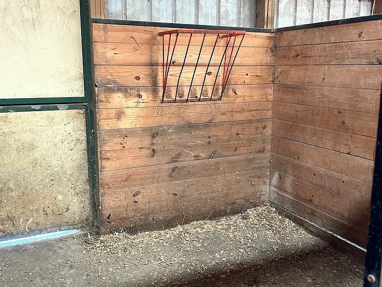 One of four Horse stalls