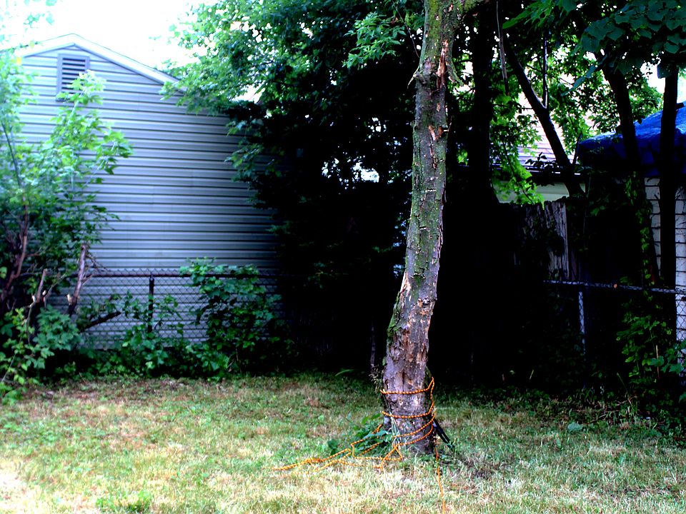 1st image of 1613 E Evelyn Ave