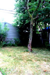 1613 E Evelyn Ave, Hazel Park, MI, 48030