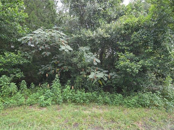 5th image of 7724 E Savannah Dr
