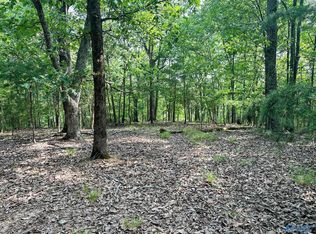 County Road 365, Leesburg, AL 35983