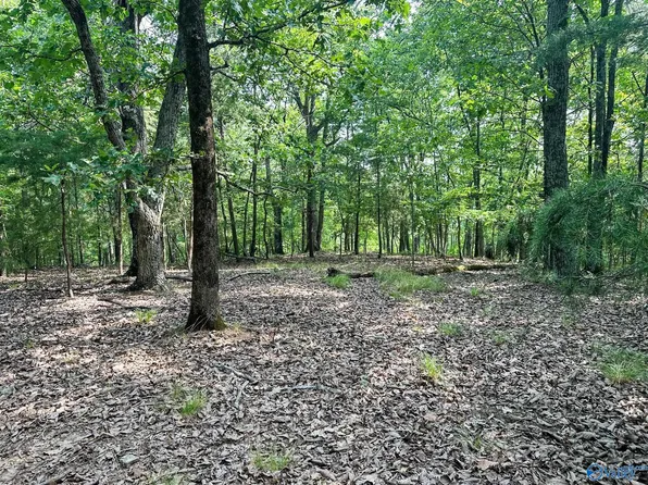 County Road 365, Leesburg, AL 35983