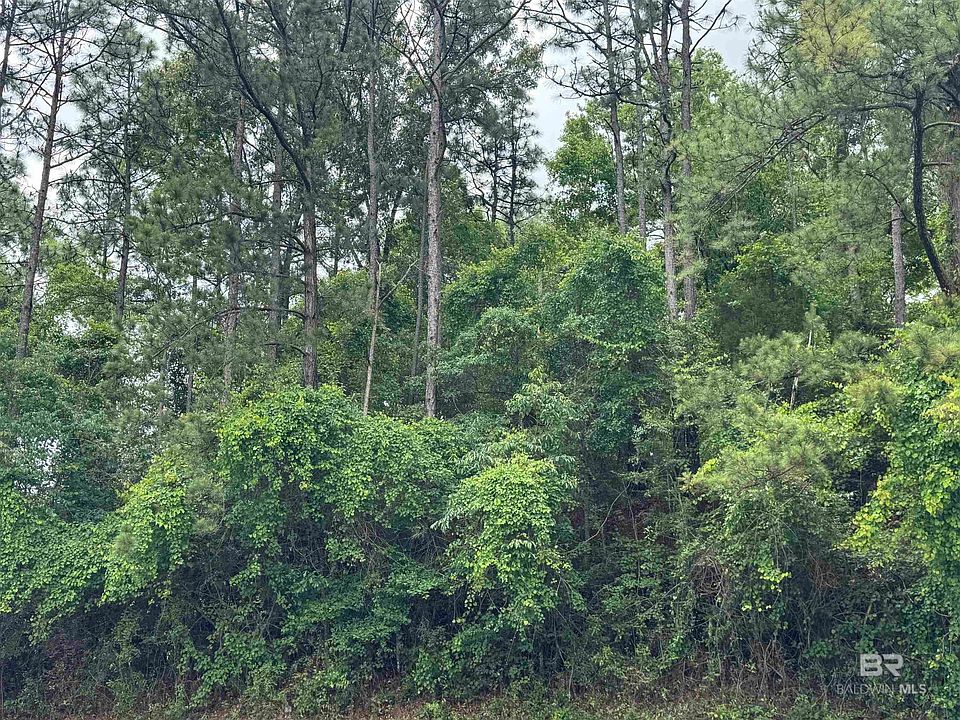 2nd image of 33586 Rosalia Ave