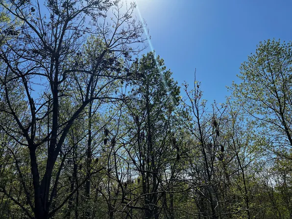 0 Shores Trl, Stewart, TN 37175