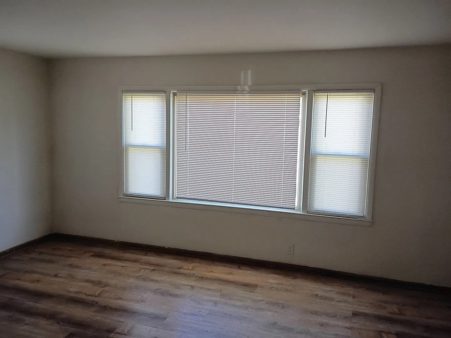 5345N61stM — Photo 2