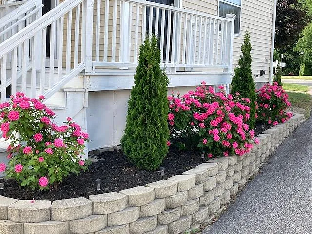 67 Maggie Ln — Photo 3