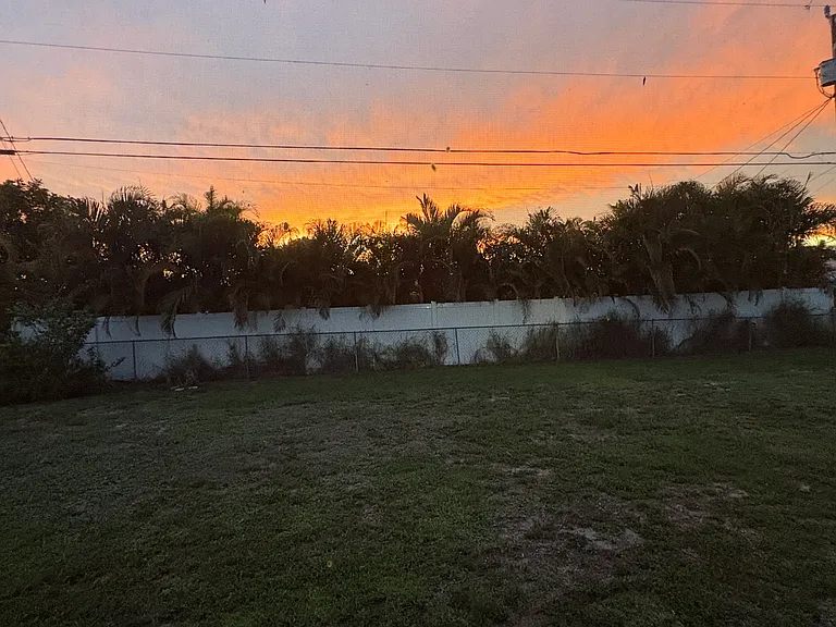 4102 Palm Tree Blvd — Photo 12