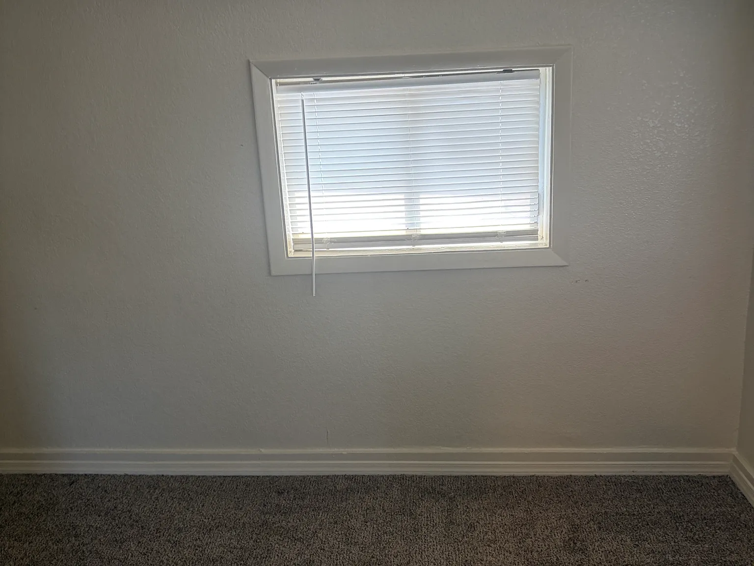 1 bed, 500 sqft, $800 — Photo 4