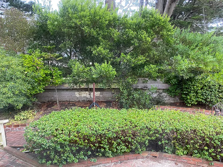 4170 Sunridge Rd — Photo 21