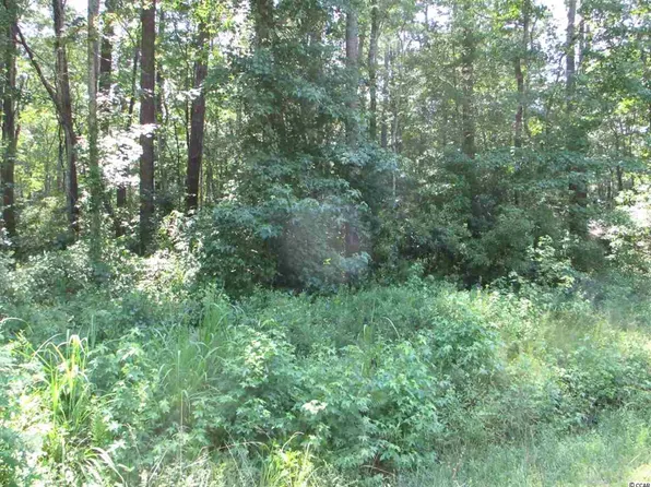 14 Myrtlewood Dr, Carolina Shor, NC 28467