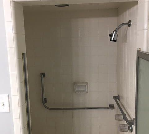 Master bath shower