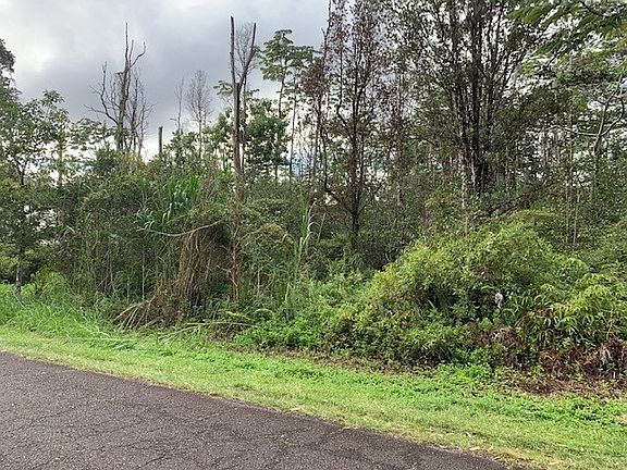 2nd image of Punawai St Lot 13