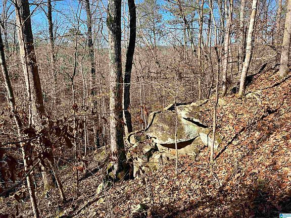 5th image of 620 Mountain Crest Dr #13/14
