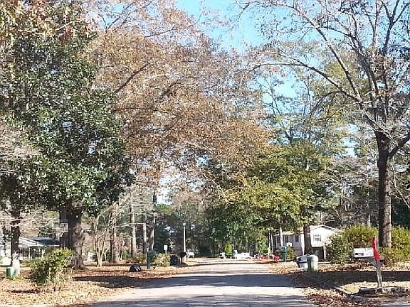 5th image of 3028 Tipperary Dr