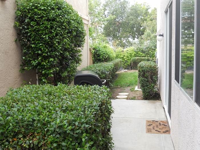 Side backyard