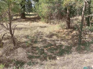 139 Eldorado Dr, Timberon, NM 88350