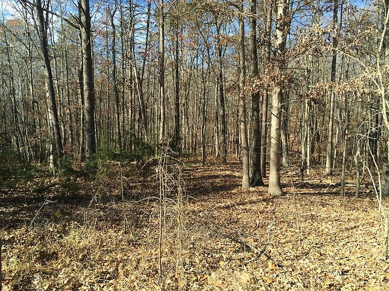 2nd image of Pendleton Dr