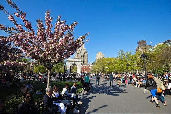 Rented by Jonis Realty | media 17