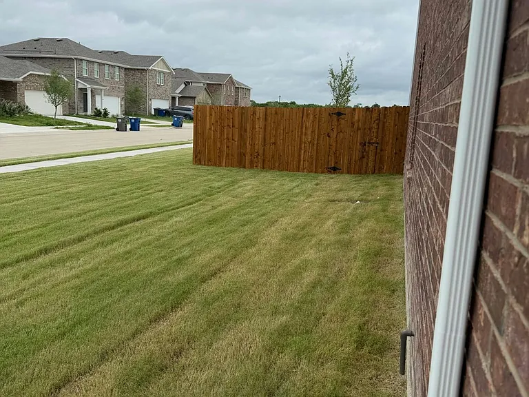 side yard