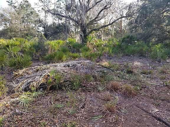 4th image of 4311 GARDENIA DRIVE LOT 21