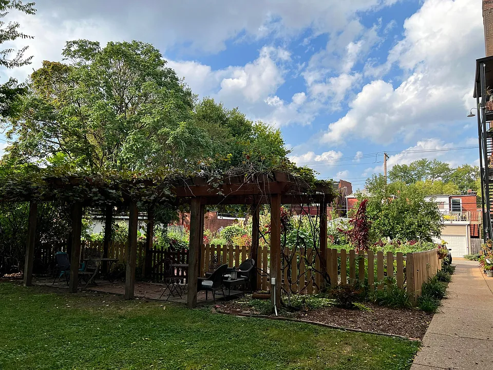 Organic garden in back yard.