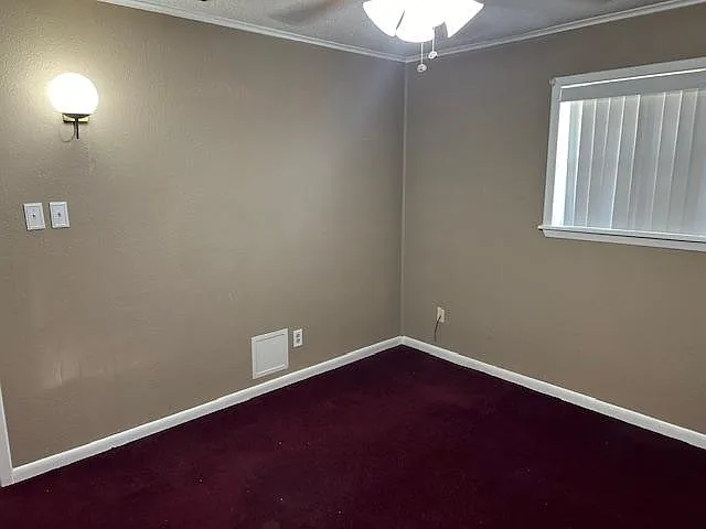 1523 Live Oak St — Photo 12