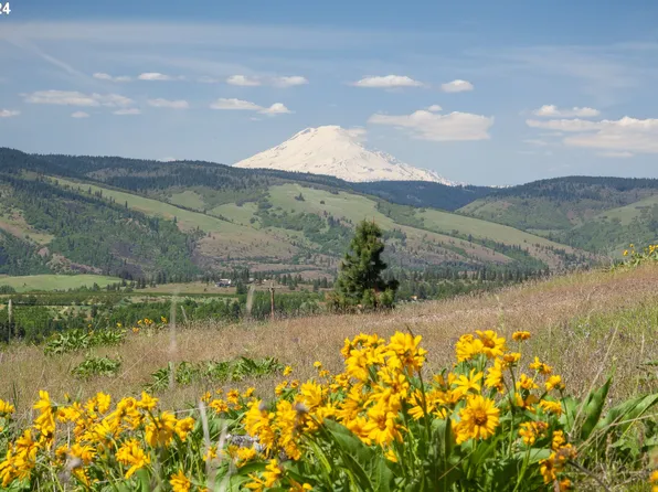 1968 Dry Creek Rd, Mosier, OR 97040